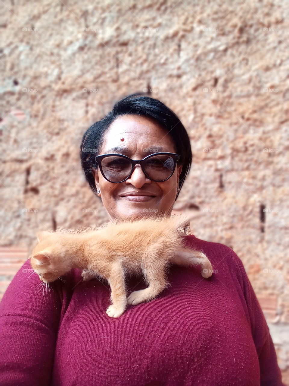 Gatinho sapeca e lindo