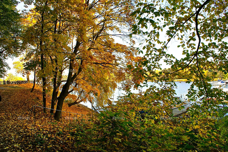 sweden stockholm fall autumn by lgt41
