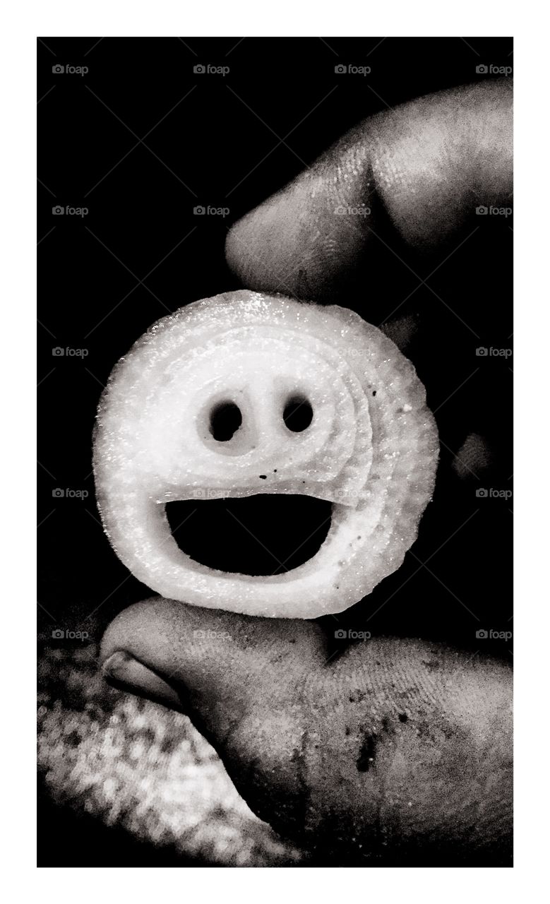 Happy 😊 onion rings.....