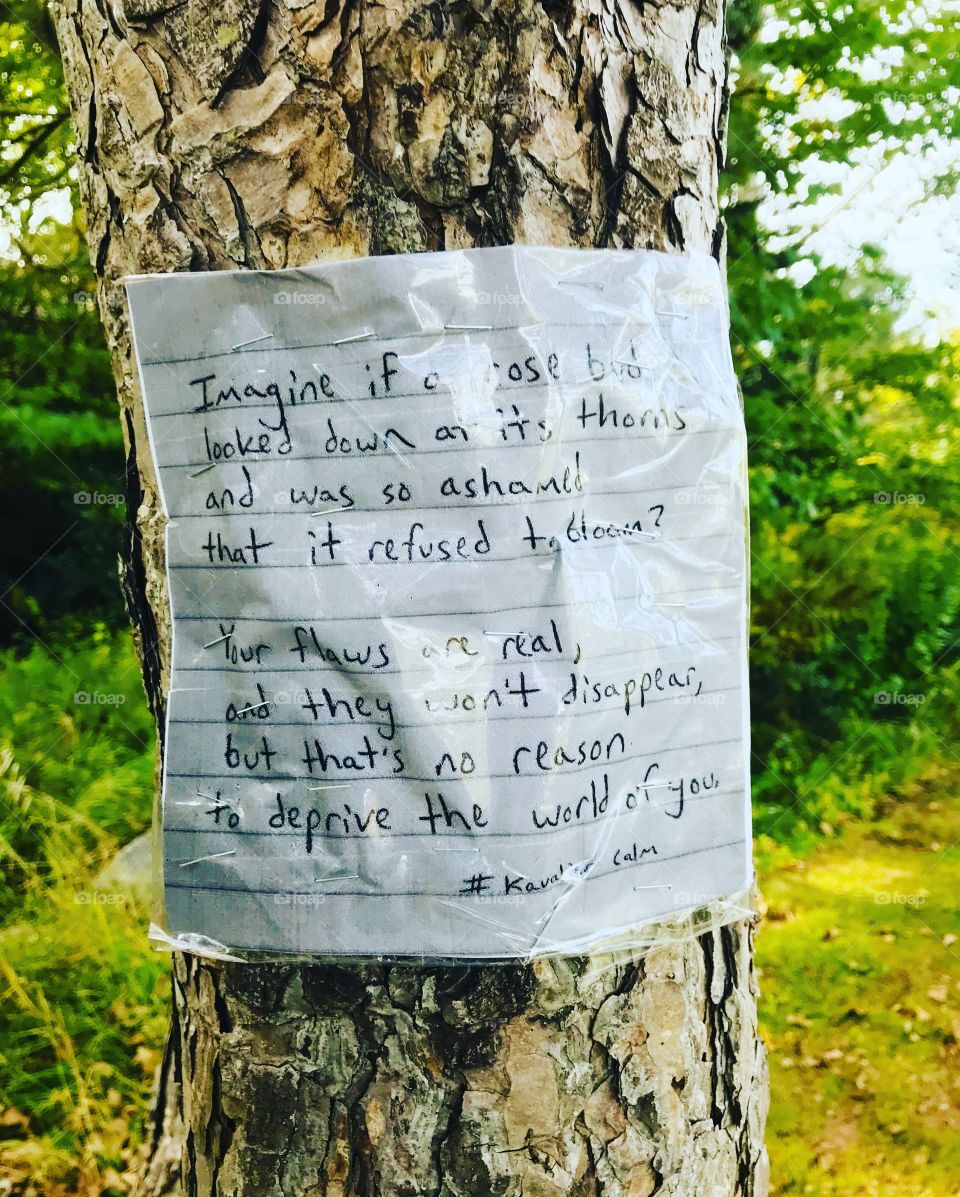 This public ‘stay woke’ project brought to you by a tree