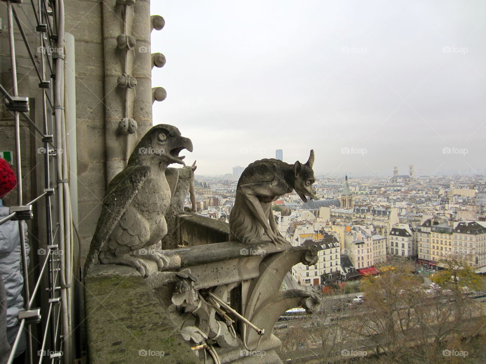 Gargoyle