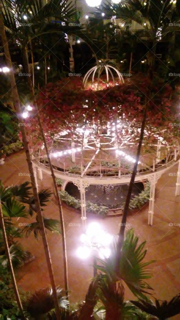 wonderful site to see