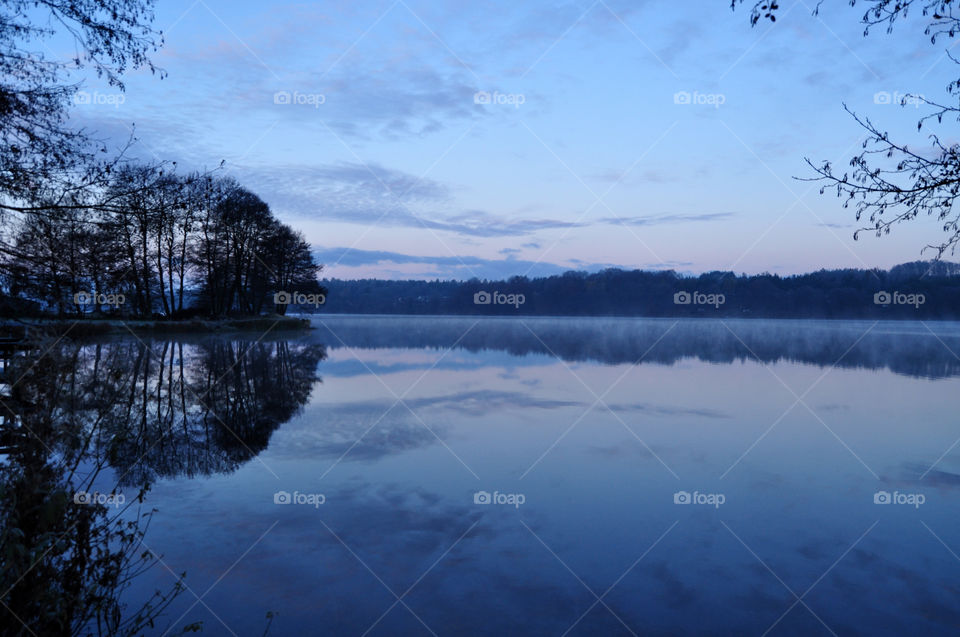 Scenic view of nature