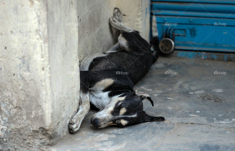 Hiding from the heat