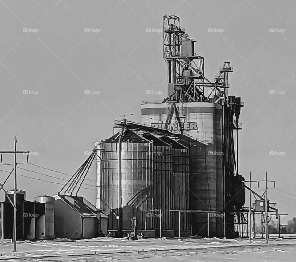 Grain elevator