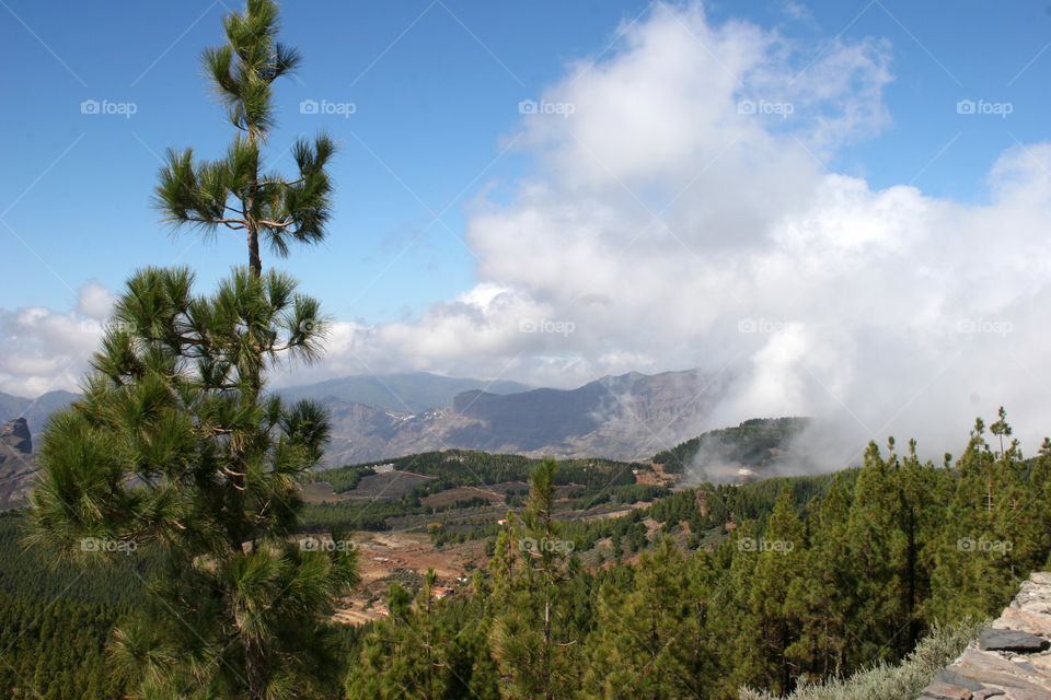 Mountain, Landscape, Tree, Nature, No Person