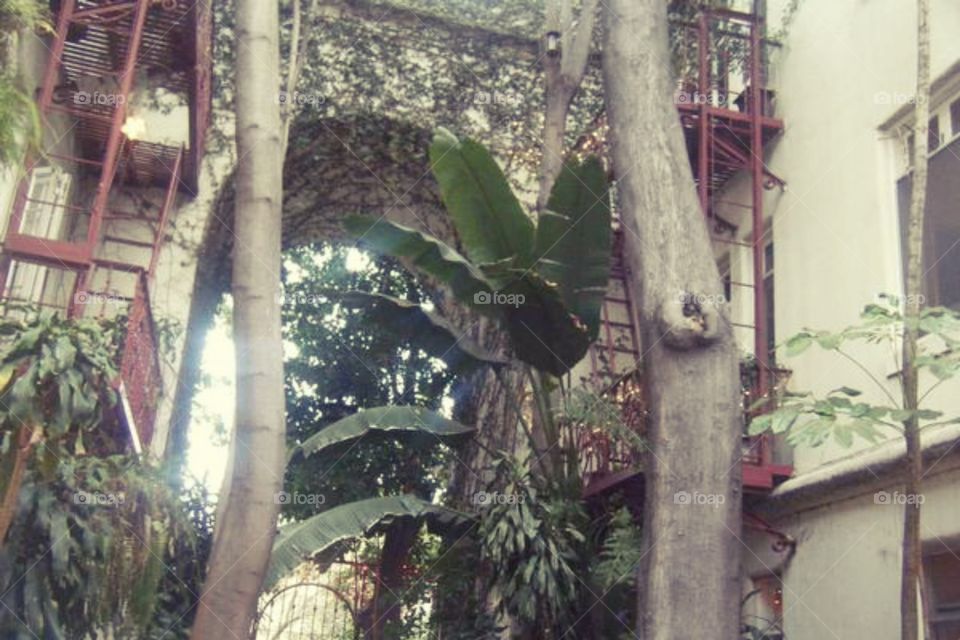 unique flora around apartment building