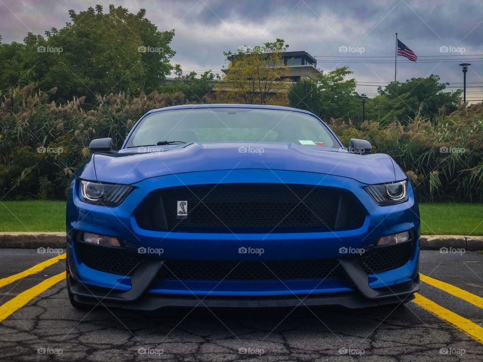 GT350 Shelby Cobra at a car meet in New York 