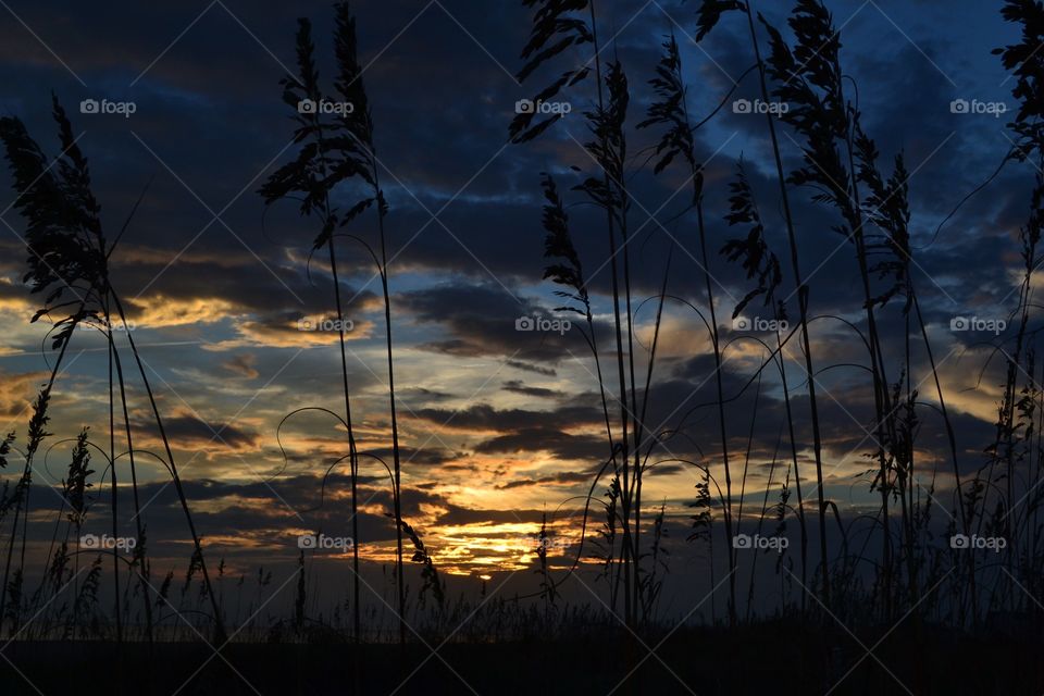 Sunset, Dawn, No Person, Sun, Landscape