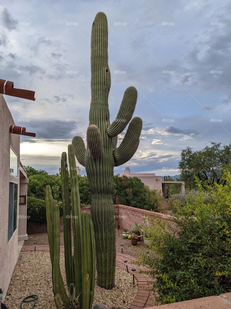 a beautiful desert morning