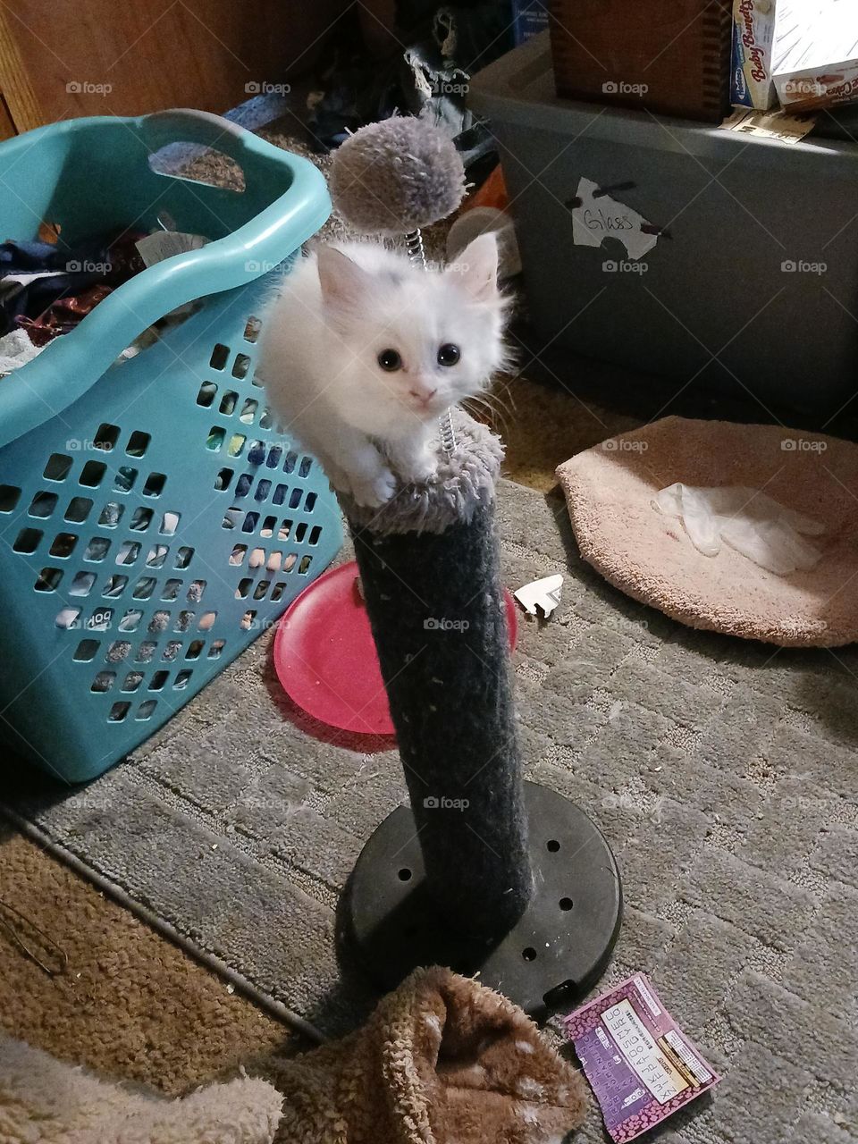 help I can't get down