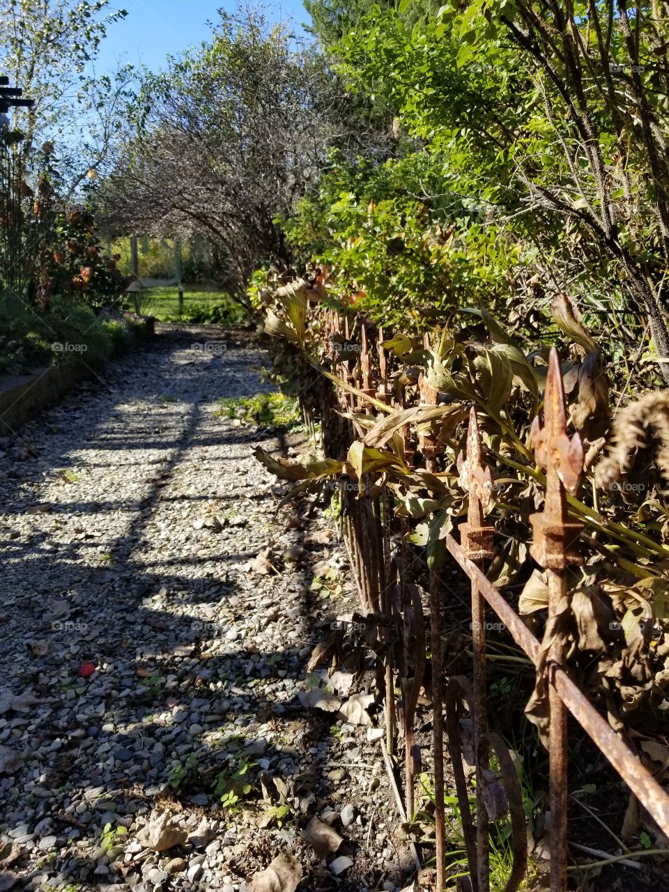 Rusty Garden Fence