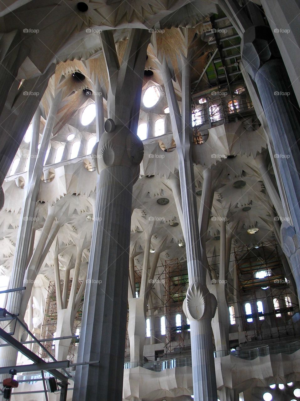 Ceiling construction in Sagrada familia church