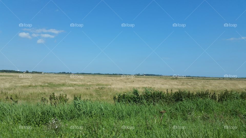 Norfolk broads countryside fields view , england