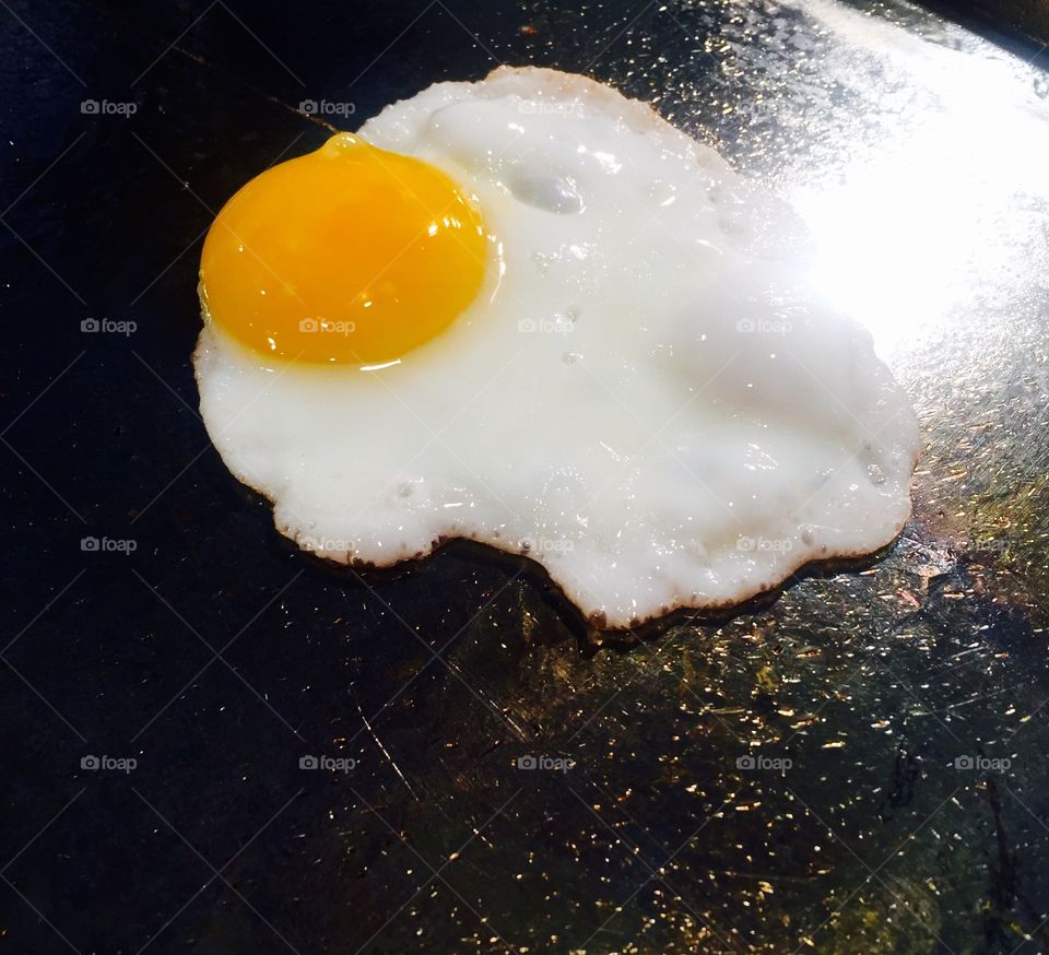 Egg
