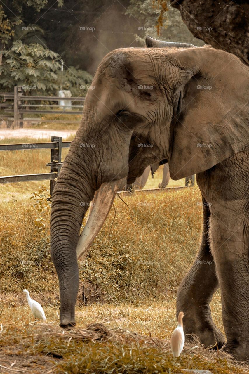 welcome to the jungle !