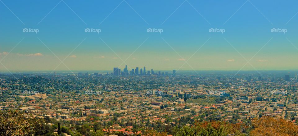 Los Angeles from the top of Hollywood's mountain