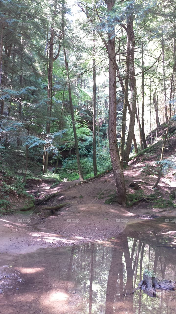 Light in the Darkness