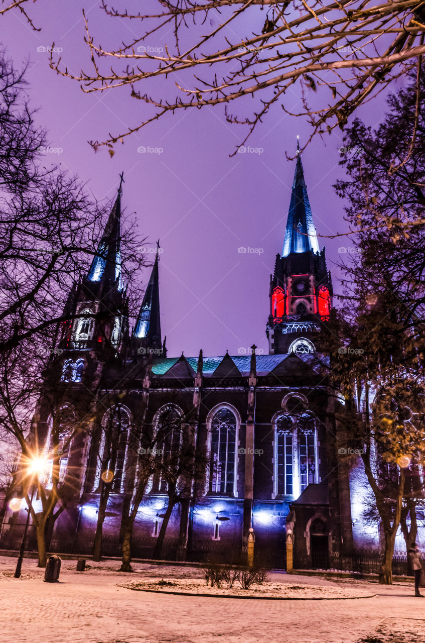 St. Olga and Elizabeth cathedral in Lviv city