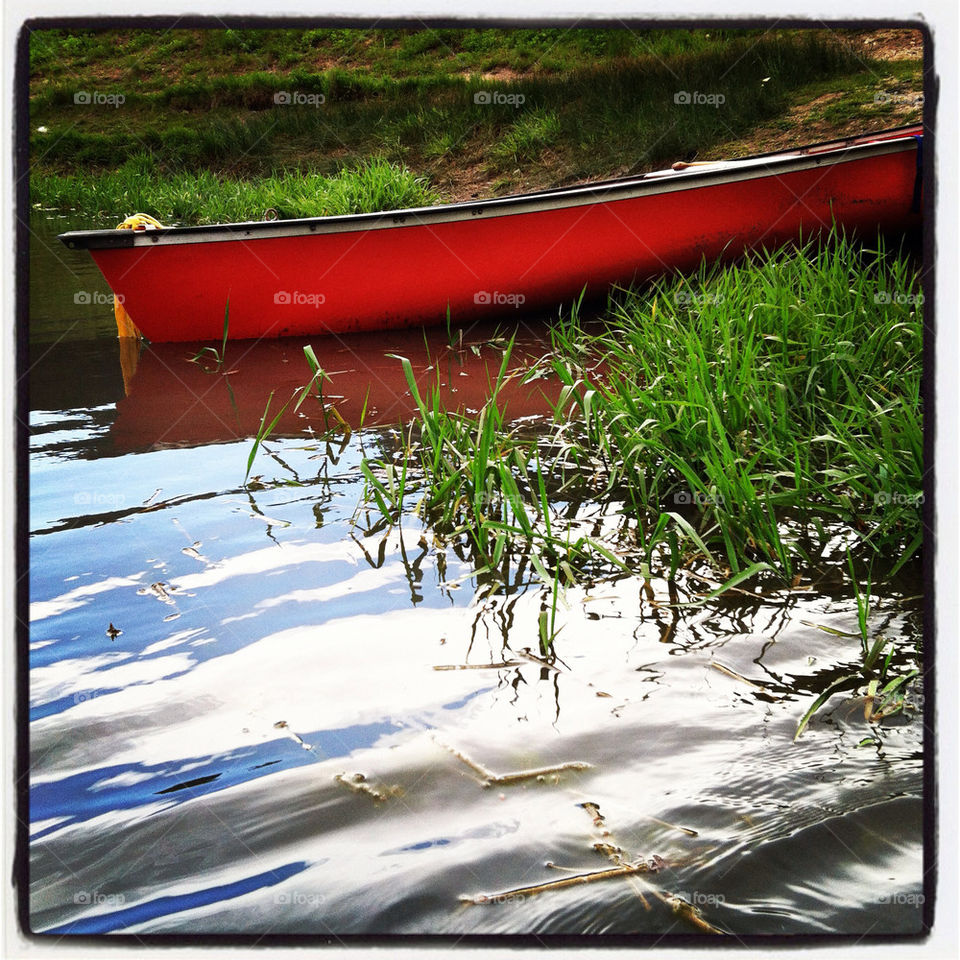 nature grass summer lake by comstock