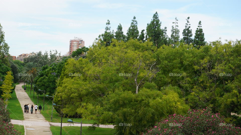 Park#nature#humans#walk#trees#sky