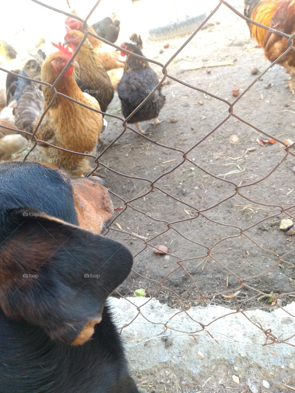 Editor's Choice - Photo of the Week