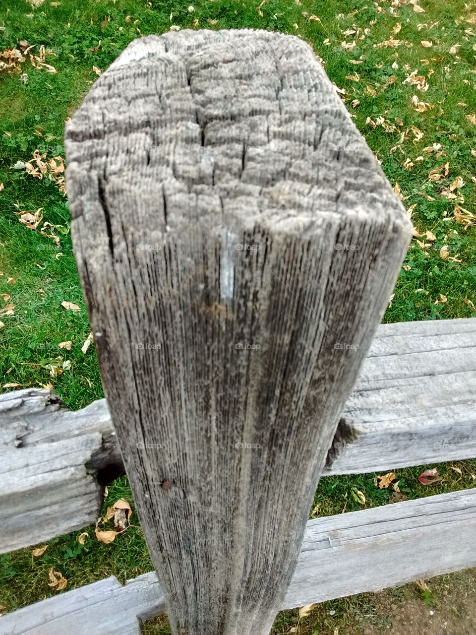 wood fence post top view