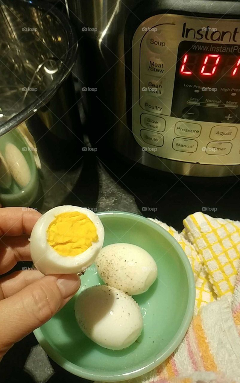 Egg