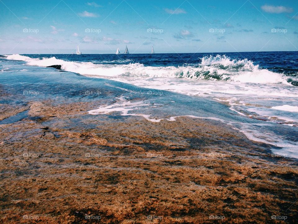 View of beach during daytime