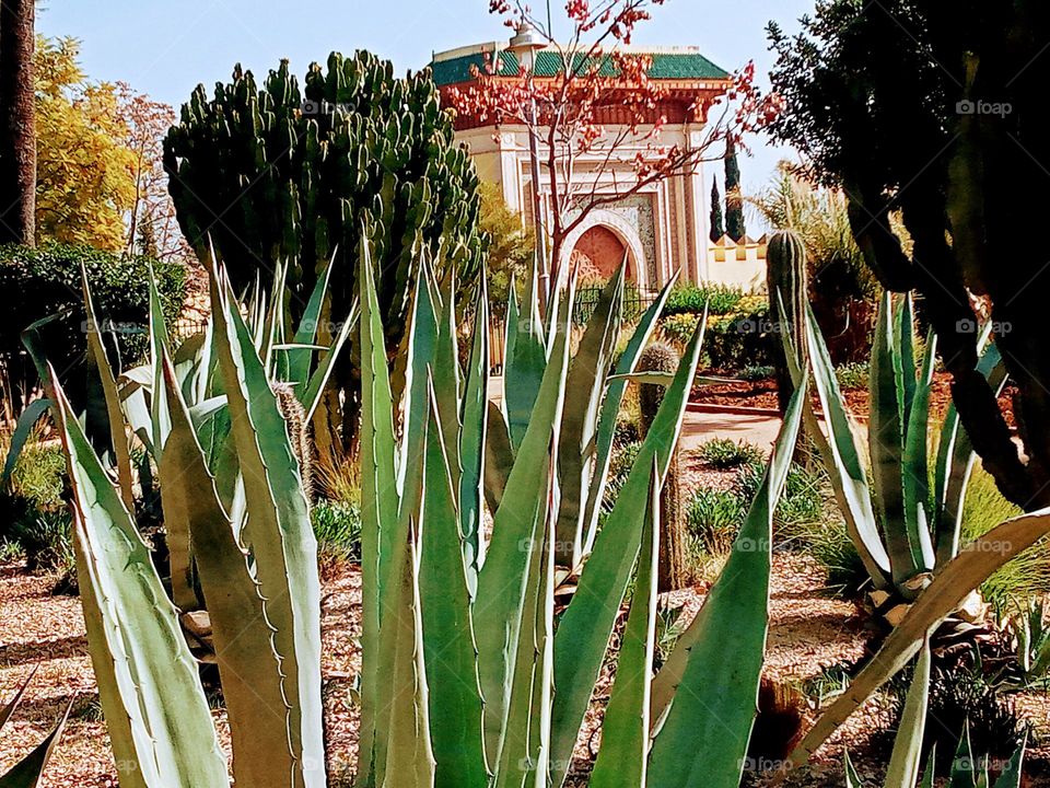 parc jnane sbil in Fes/Morocco