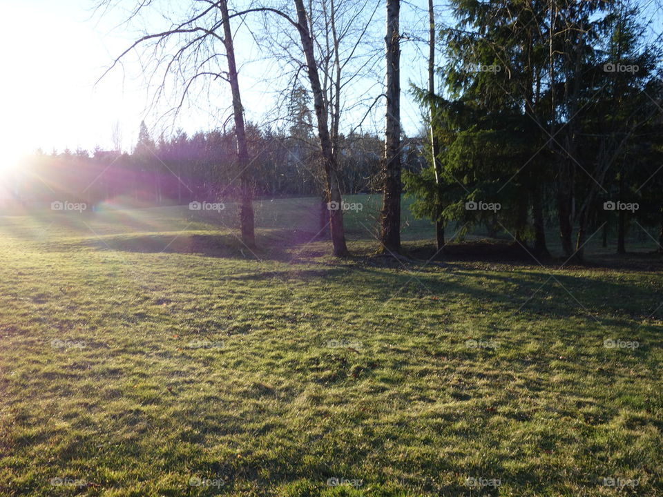 sunny day at the park