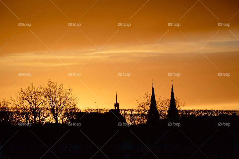 silhouette of the roofs of houses and trees
