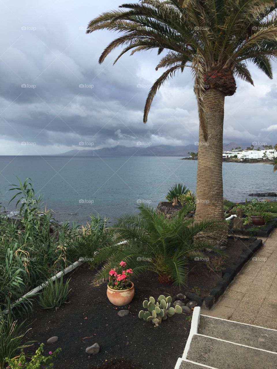 Océano Atlántico Islas Canarias 