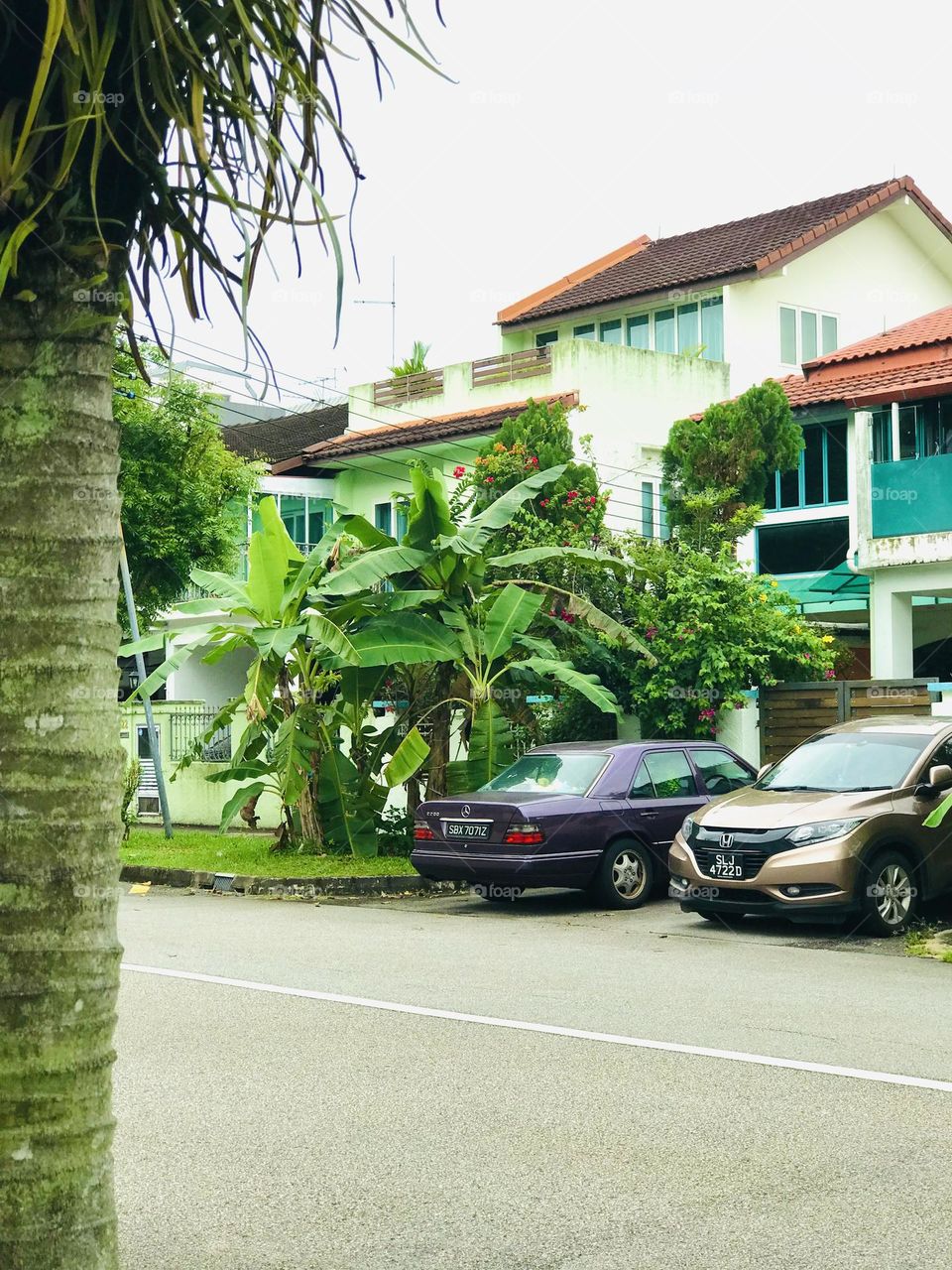 Mercedes Benz Ang Hyundai car in front of an individual house with beautiful greenery 🏡