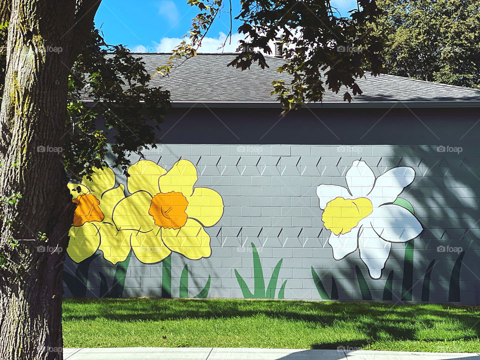 Daffodil mural.. 