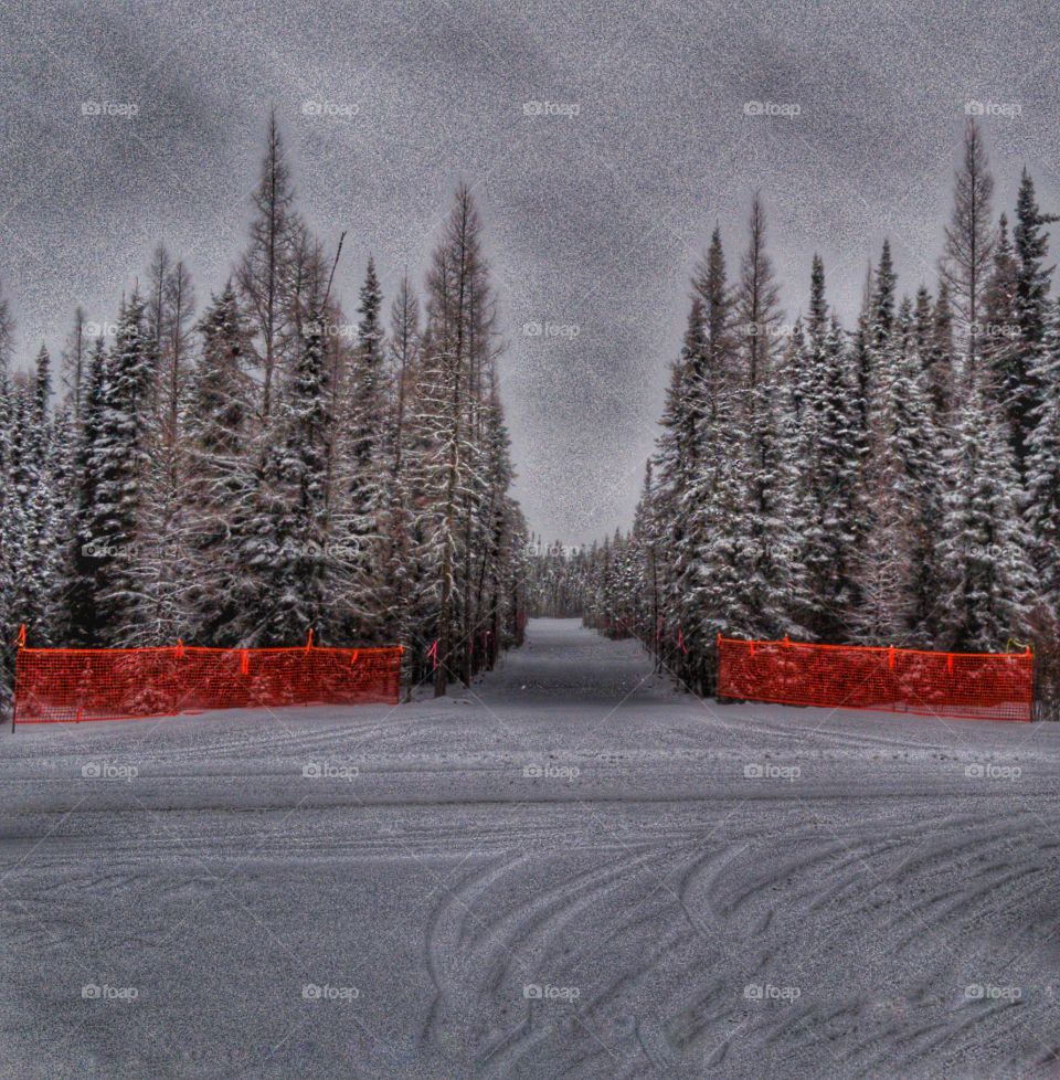 modern Christmas card