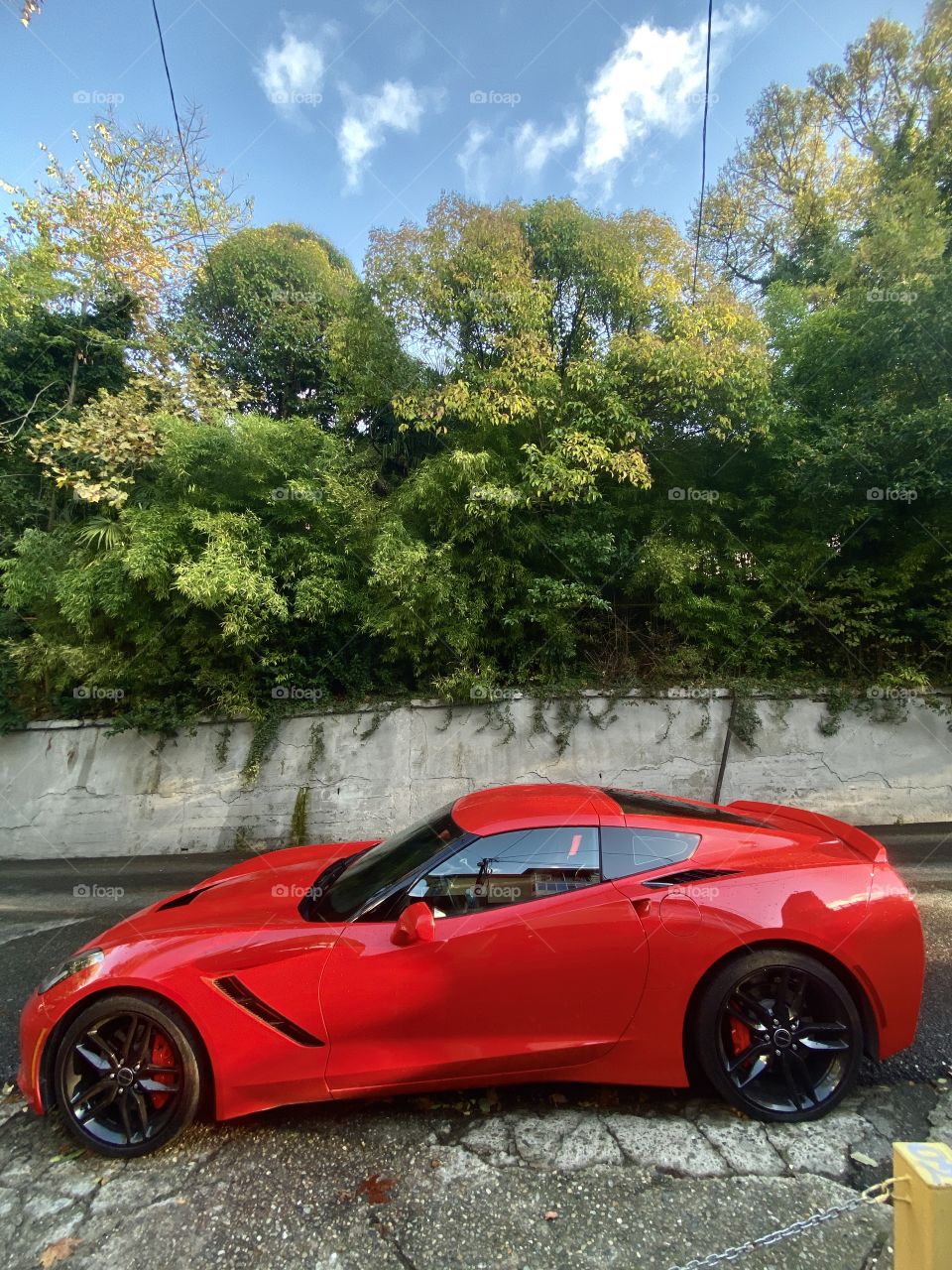 Fast contemporary sport car in red colorway.