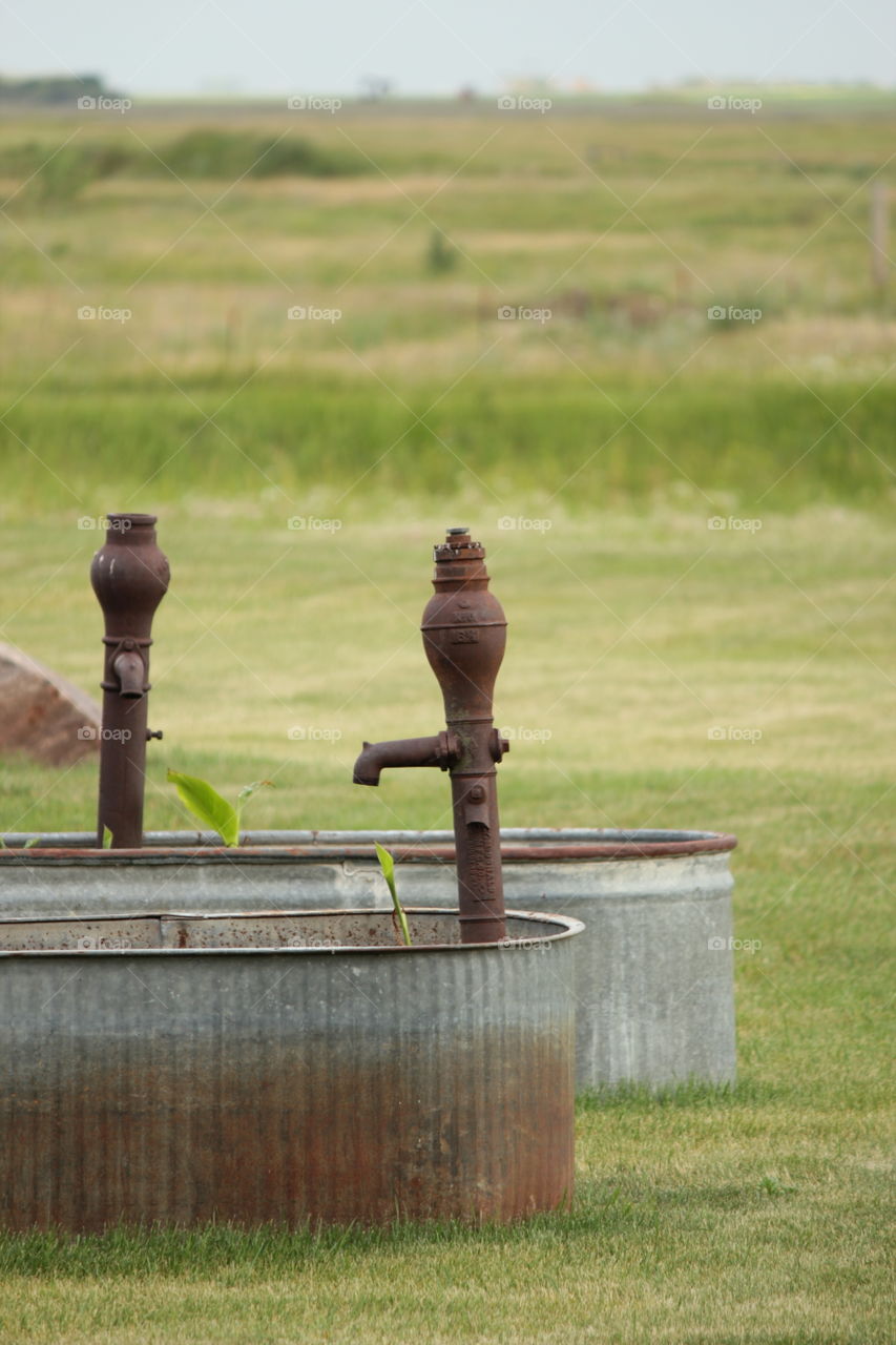 Decorative water troughs in yard with old well spouts