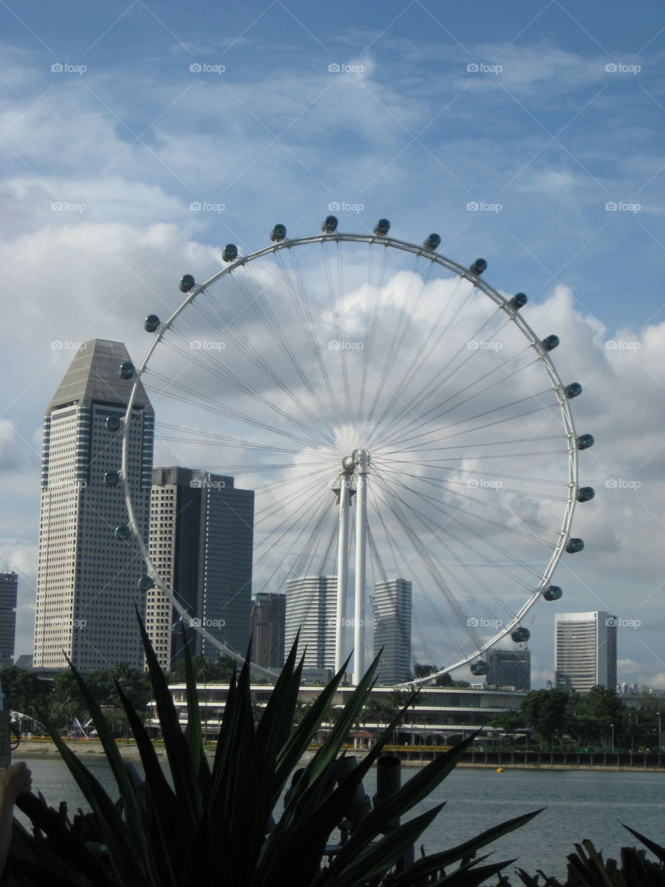 Singapore Flywheel