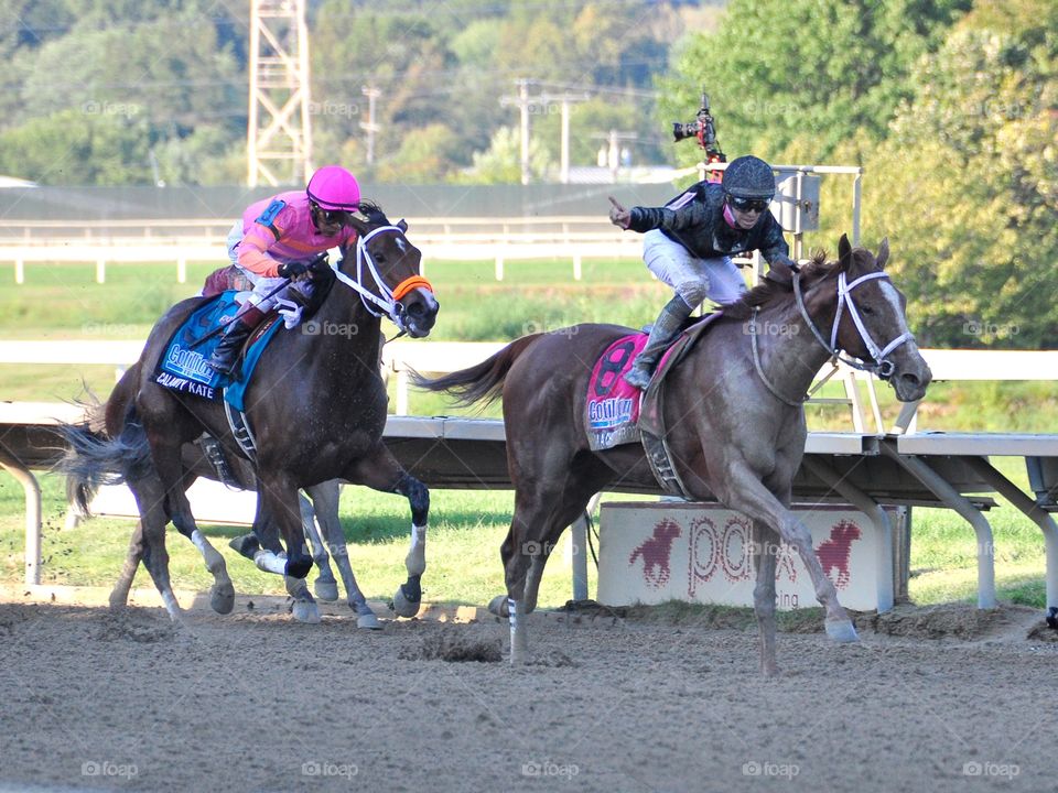 Florent Geroux Celebrates . I'm a Chatterbox  winning the Cotillion at Parx Racing with jockey Florent Geroux

Zazzle.com/Fleetphoto 