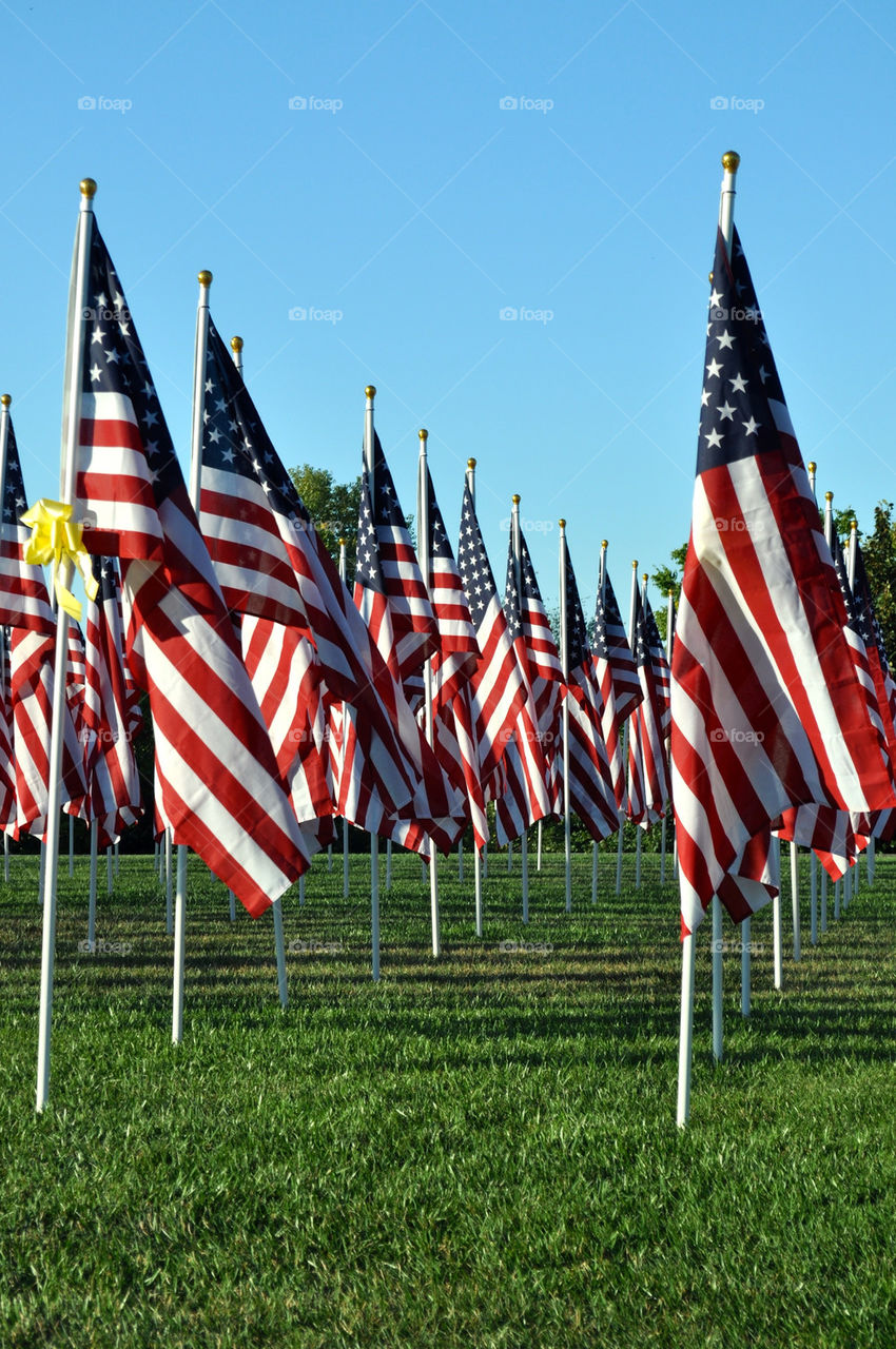 Flags