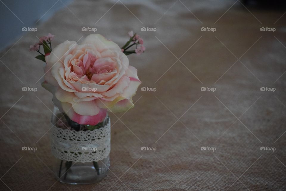 Rose in a jar