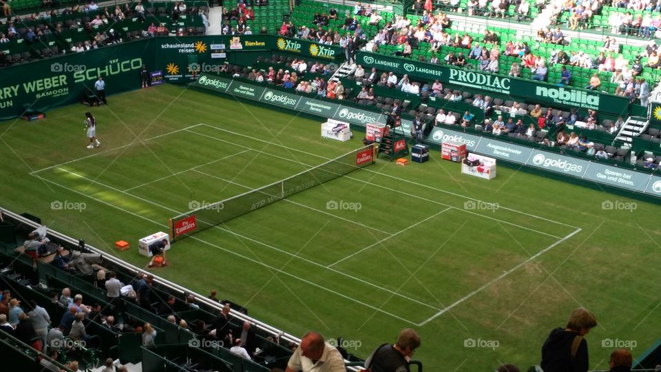 Tennis Rasen Halle