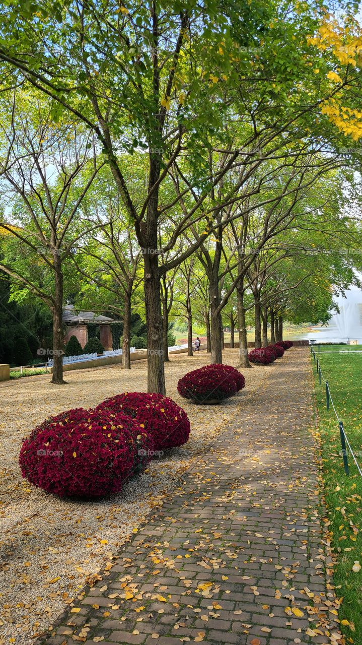 flower and tree