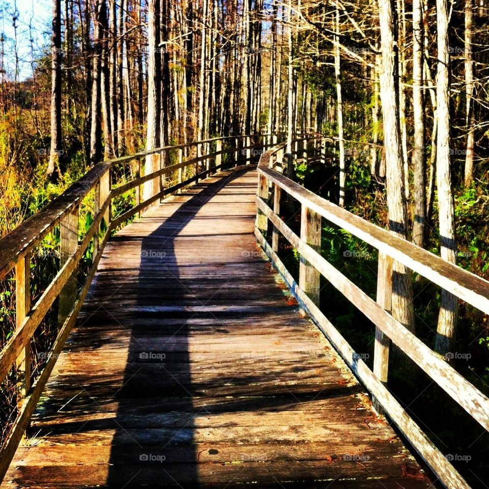 Boardwalk