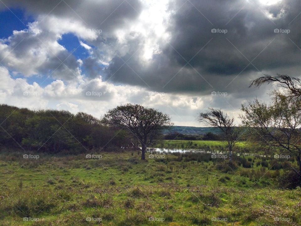 Great field - Devon