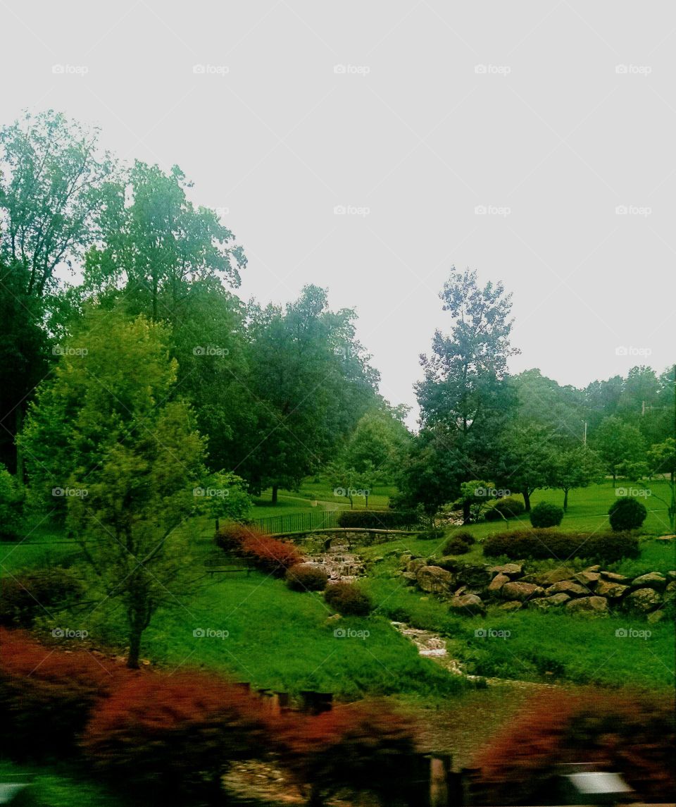 After the Rain. this is taken right after a huge rain storm in Northern New Jersey