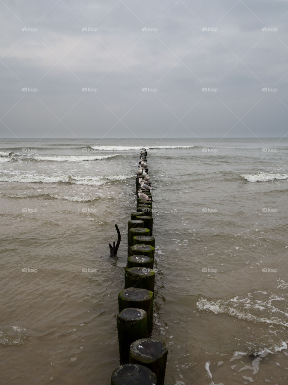 Stormy spring on the beach