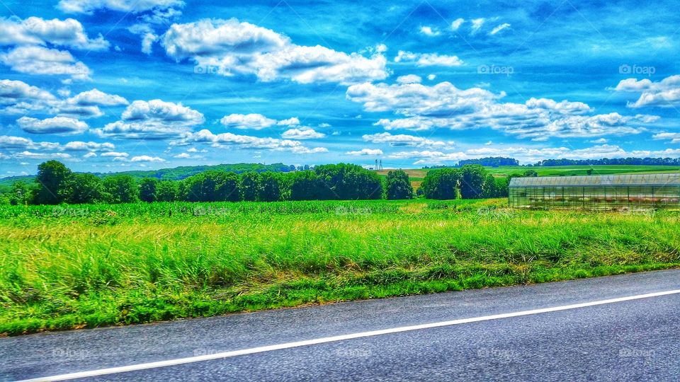 Gotta love the country side.