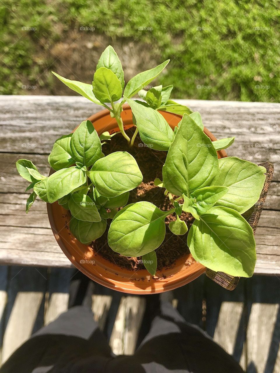 Photography started out as a hobby of mind and has grown into somewhat of a passion. I love sharing my work with others and I love that this platform allows photographers to receive praise and recognition for their work. I hope you enjoy my photos!